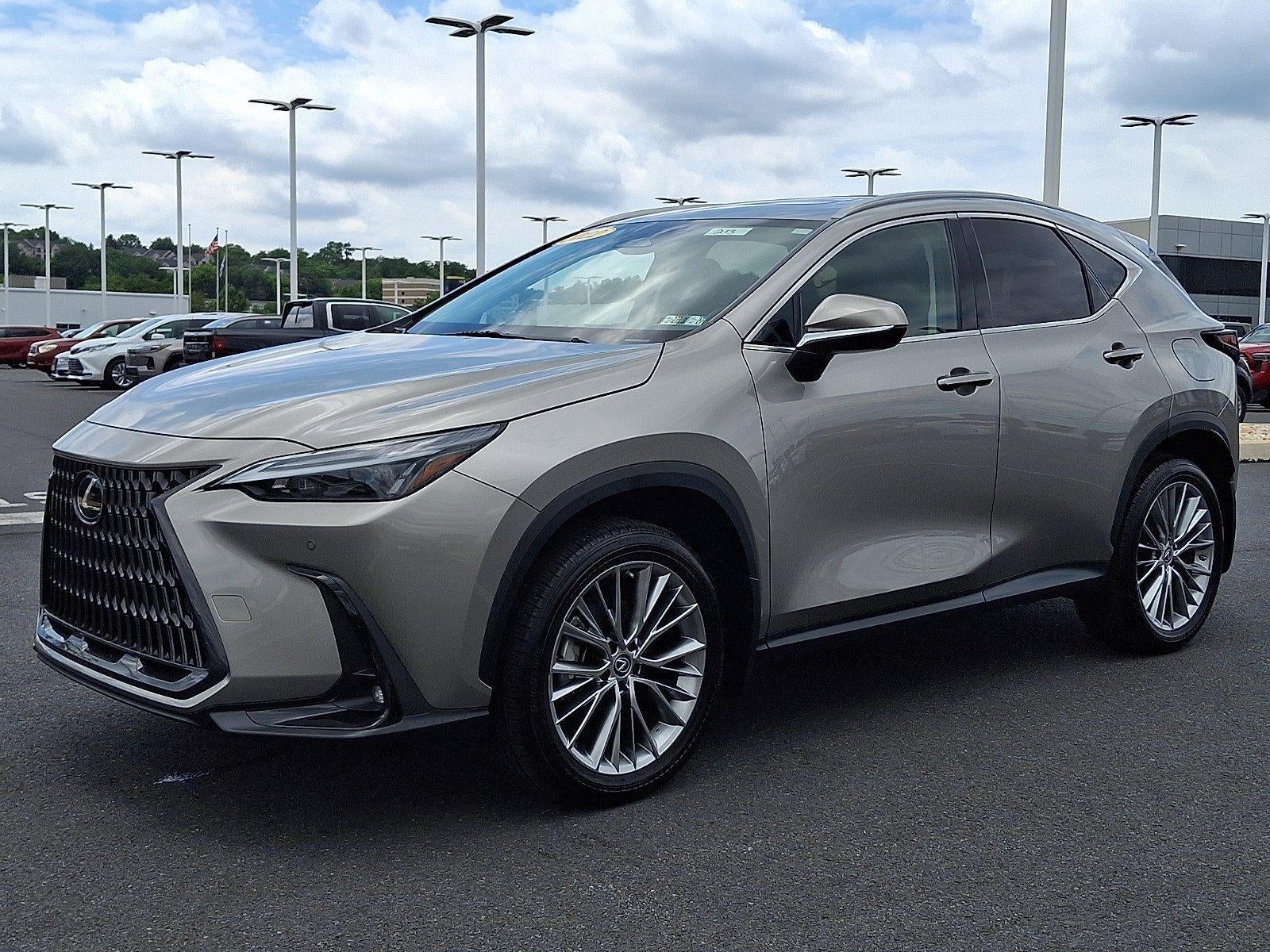 2022 Lexus NX 350h — rear three-quarter view